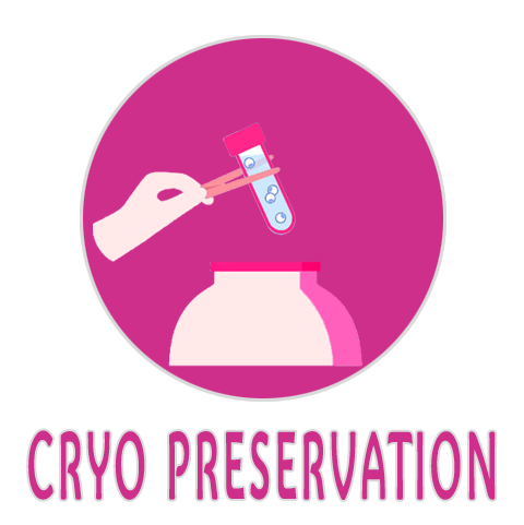 cryo preservation